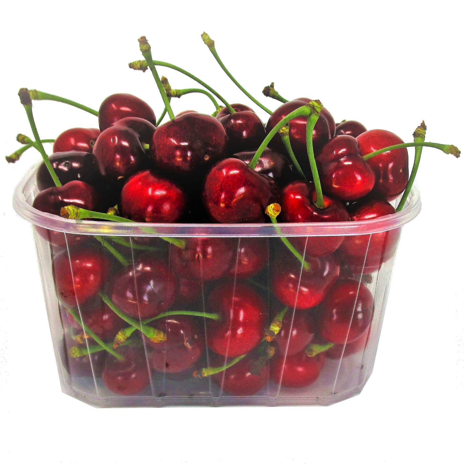 <B style='color:red'>BOLOGNA E PROVINCIA</B> - <B style='color:gold'>MODENA</B> - DURONI DI VIGNOLA 1 KG.