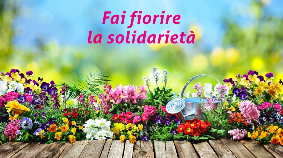 Semi di fiori per far sbocciare la primavera