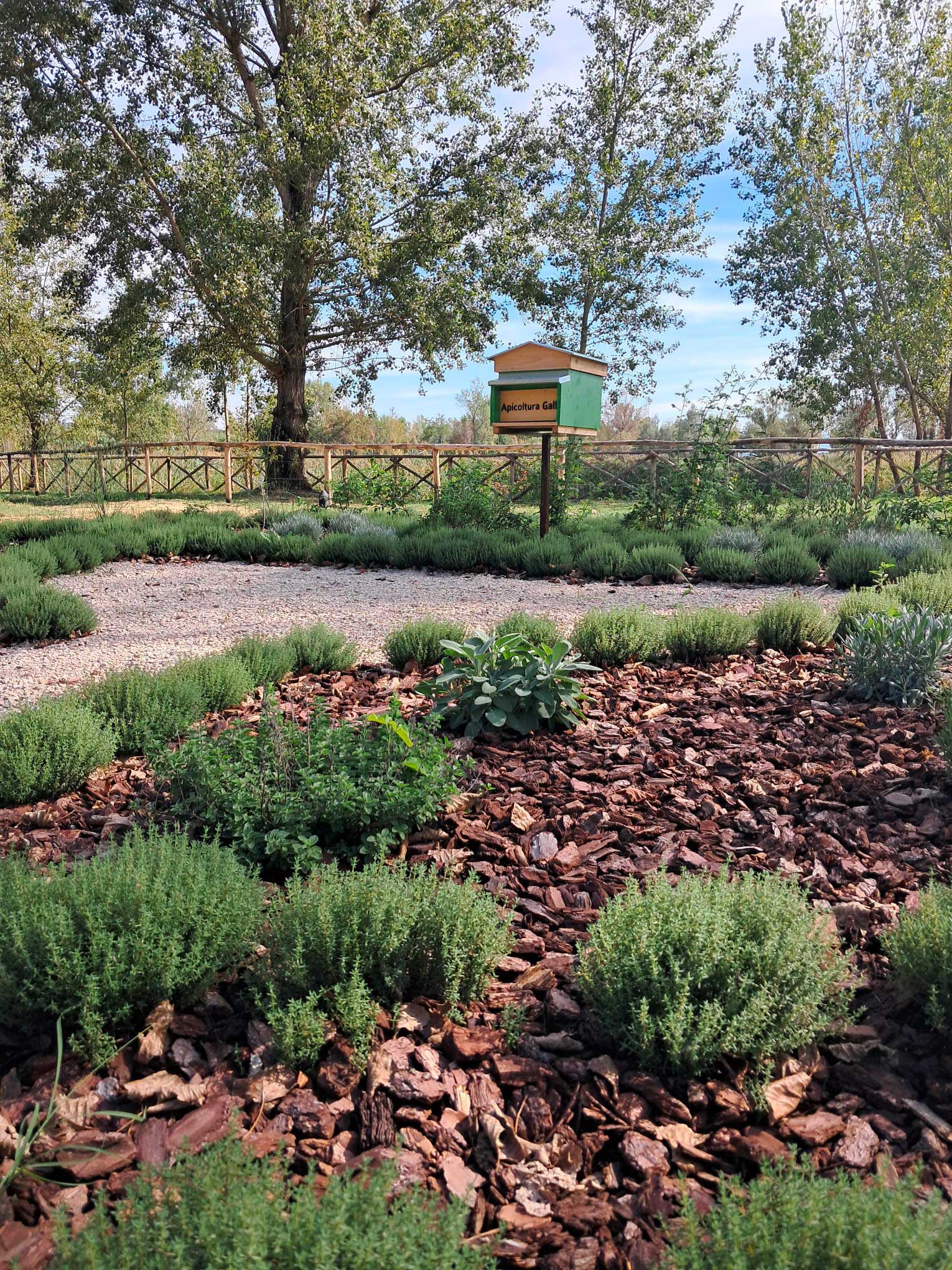 Api-per-la-biodiversita