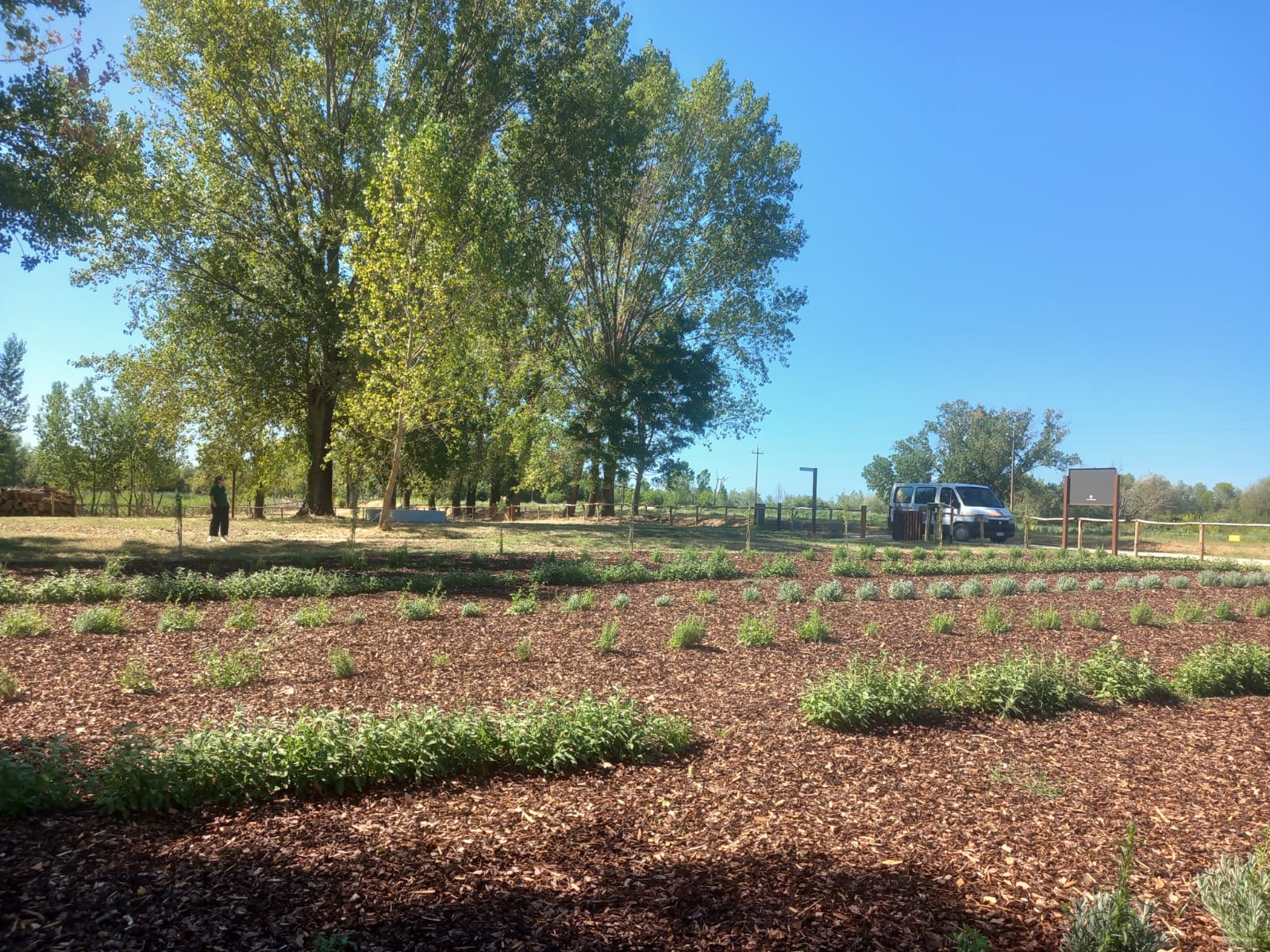 Api per la biodivesità